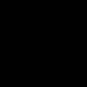 Meet your Posher, Bobby